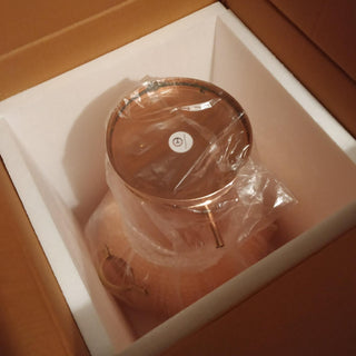 Customer photo of a CopperHolic copper alembic still