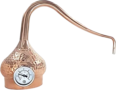 Onion Head